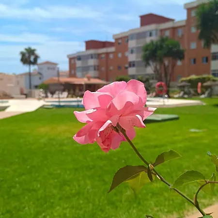 Cozy High-rise Sea Views & Garden Pool * Torremolinos